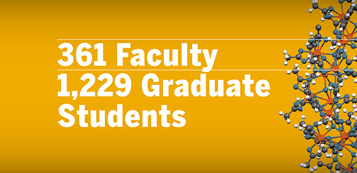 Faculty Stats
