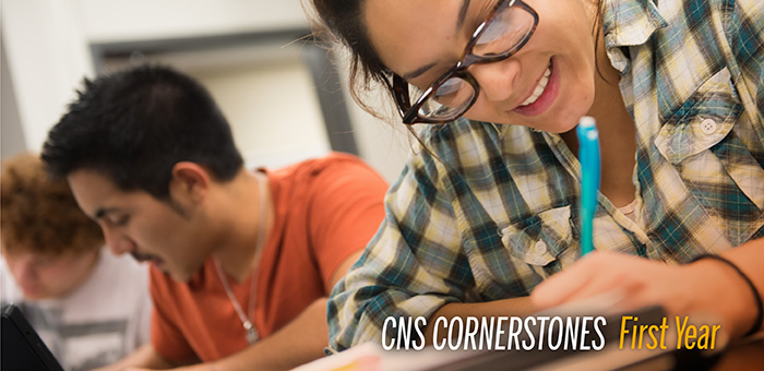 CNS Cornerstones
