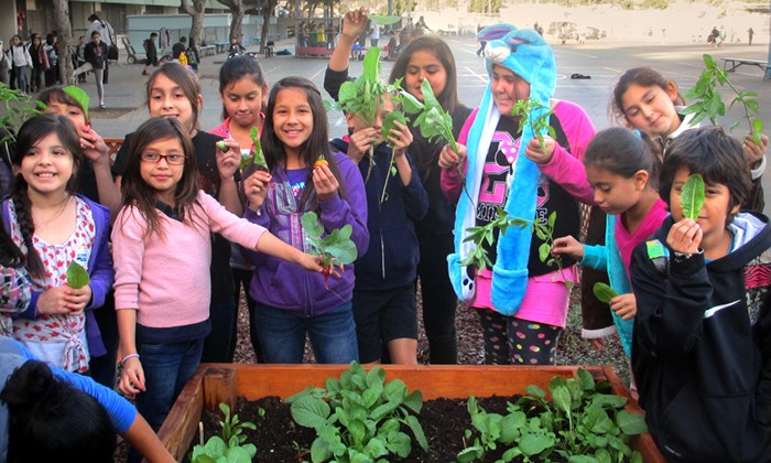 Researchers to Bring Gardens, Cooking Classes to Austin-Area Schools