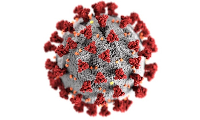 Coronavirus Spreads Quickly and Sometimes Before People Have Symptoms, Study Finds