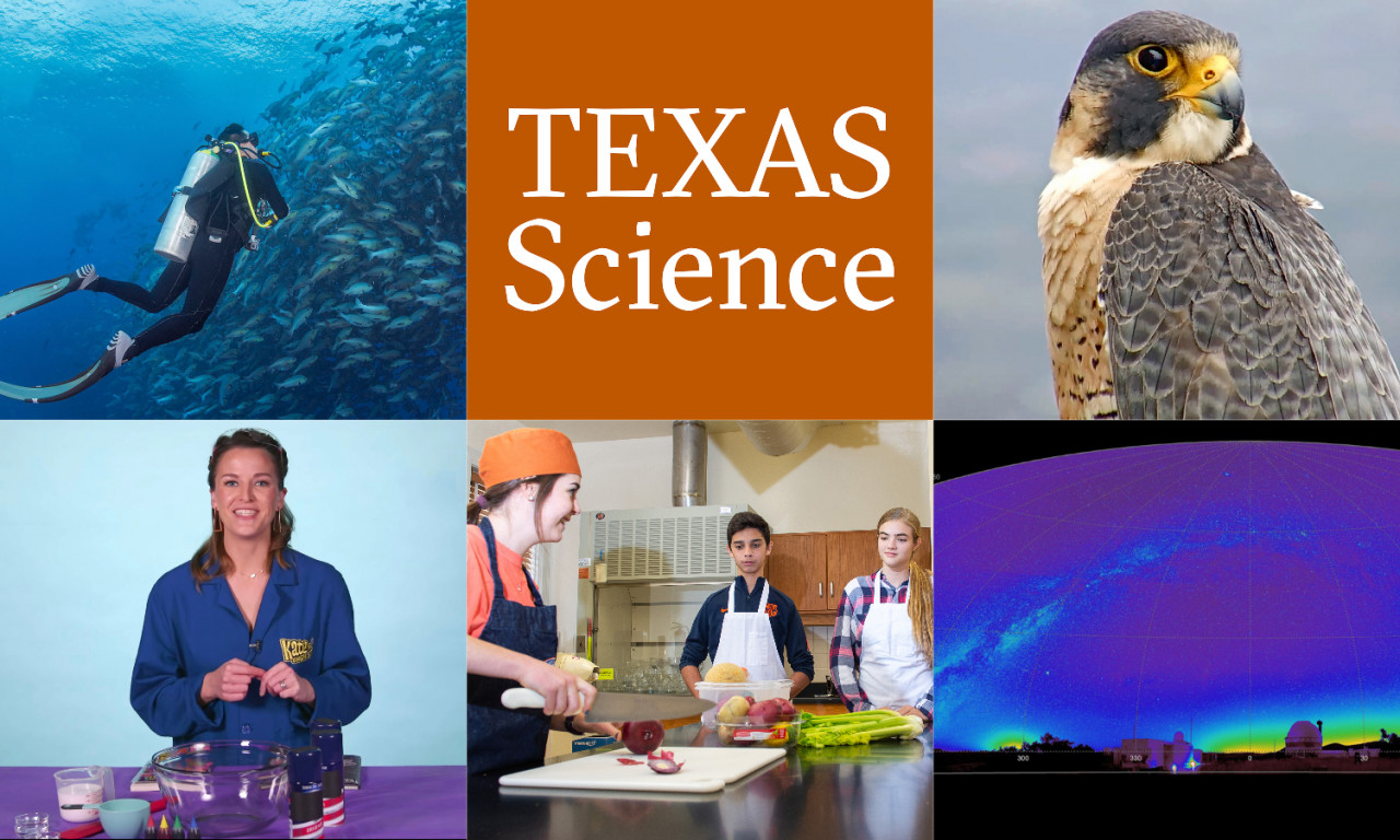 As Remote School for Texas Kids Continues, Try These STEM Learning Resources