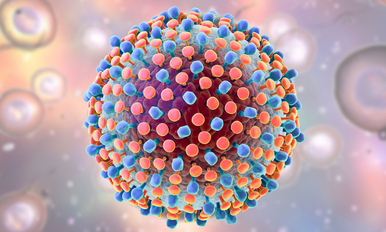 Discovery about Hep C Drug Offers Insights for Coronavirus Treatments