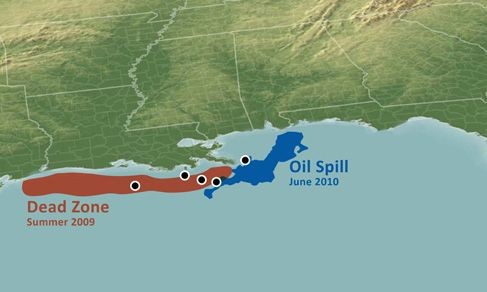 Texas Marine Scientist Studies Oil Spill Effects on Oxygen Levels in the Gulf of Mexico ‘Dead Zone’
