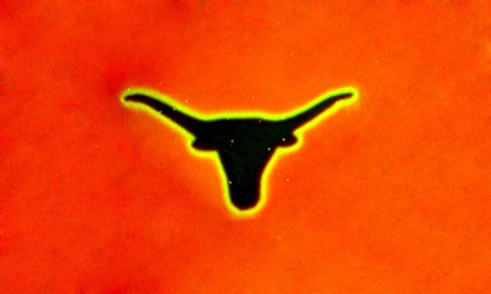 This Longhorn Has Been Brought to You by DNA