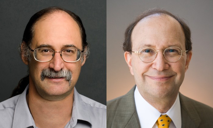 Chemist and Computational Biologist Elected Fellows of National Science Organization