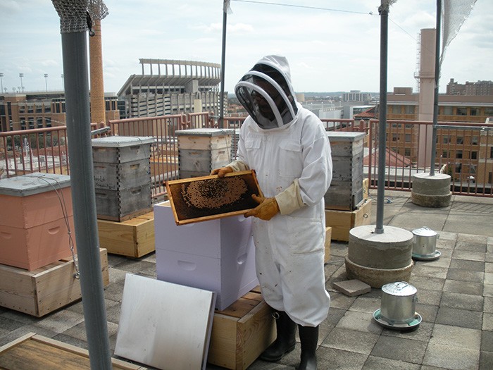 How do you move 100,000 bees from Connecticut to Texas in August?