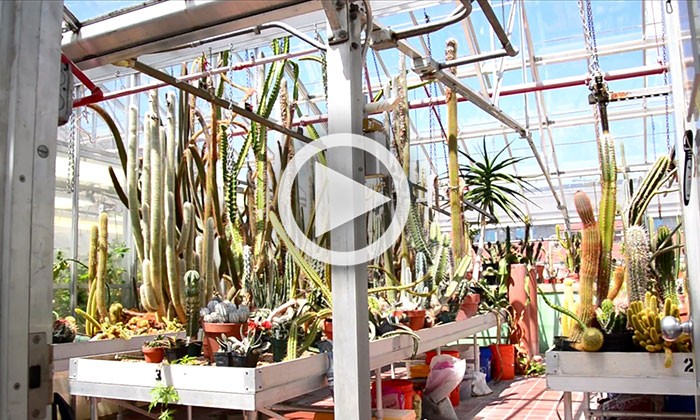 Head Room: The UT Austin Greenhouses