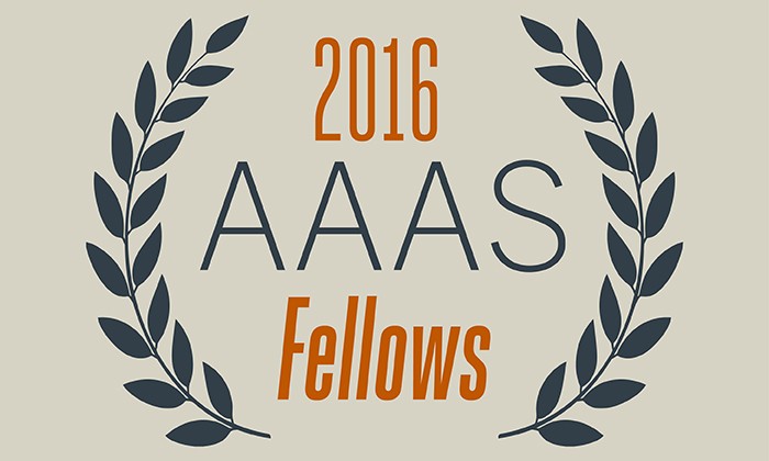 Fellows Named to the American Association for the Advancement of Science