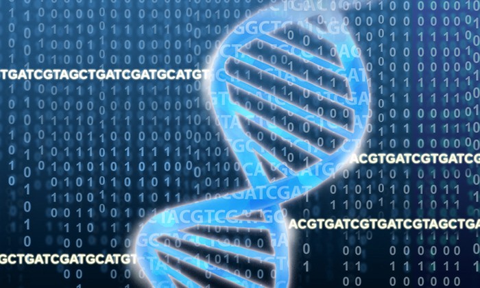 See 22 Ways UT Researchers Apply DNA, Genomics to Understanding Life