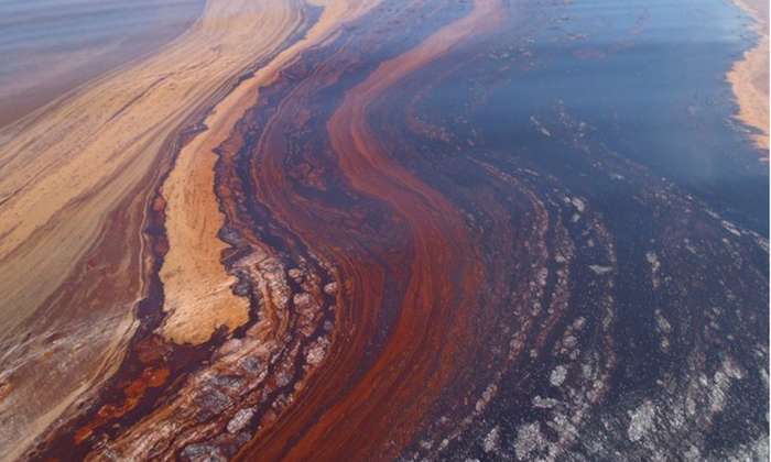 Genetic Potential of Oil-Eating Bacteria from the BP Oil Spill Decoded