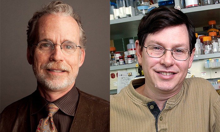 Scientists Named HHMI Professors for Innovation in Undergraduate Education