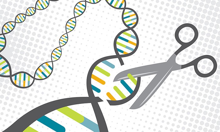 New Technique Enables Safer Gene-Editing Therapy Using CRISPR