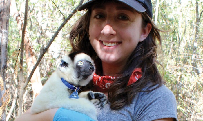 Gut Microbiome Influenced Heavily by Social Circles in Lemurs, UT Study Says