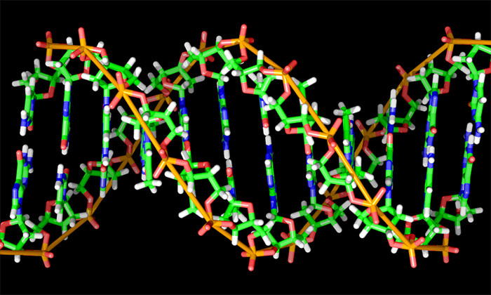 DNA Barcodes That Reliably Work: A Game-Changer for Biomedical Research