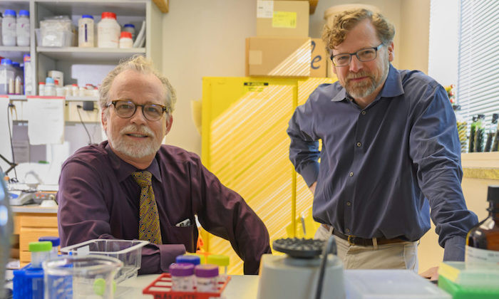 Three Natural Sciences Professors Win UT Invent & Innovate Awards