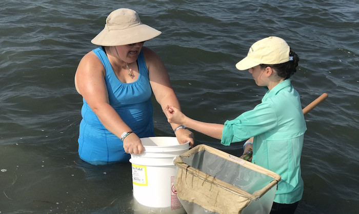 Decoding a Drop of Water to Understand Life on the Texas Coast
