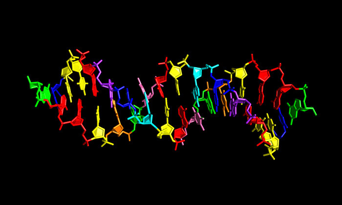 Scientists Synthesize a New Type of DNA with Extra Building Blocks