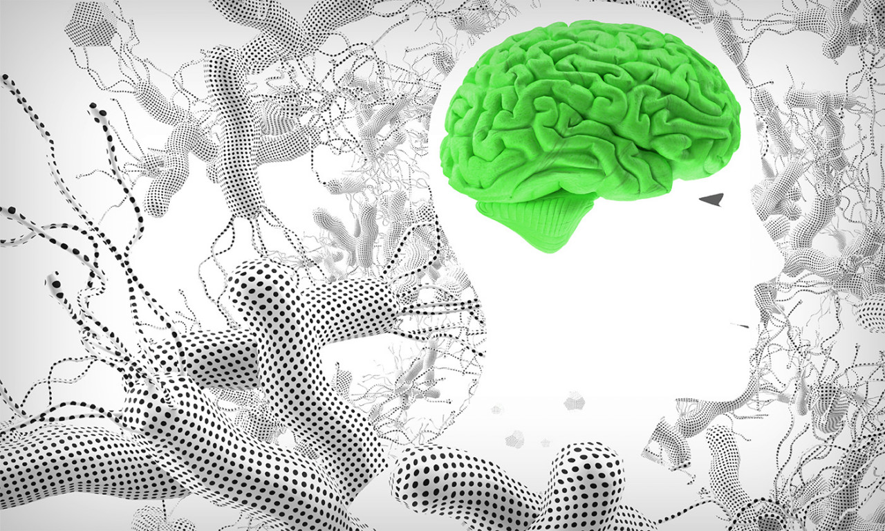 The Next 50 Years: Thinking Outside the Brain