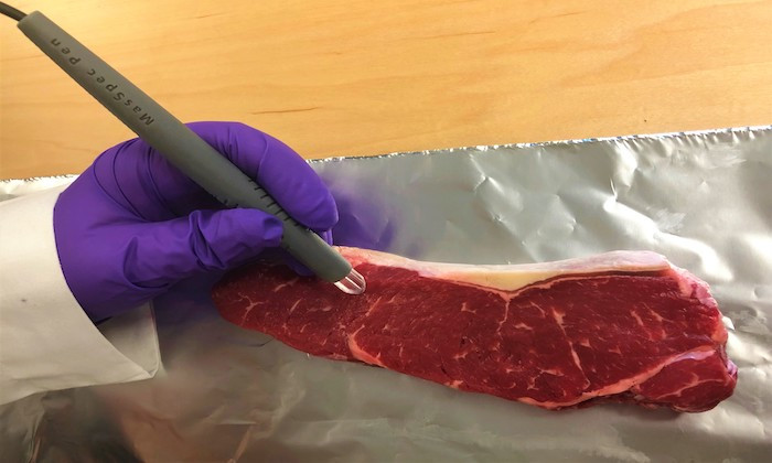 New Tool Can Identify Meat and Fish Fraud in Seconds